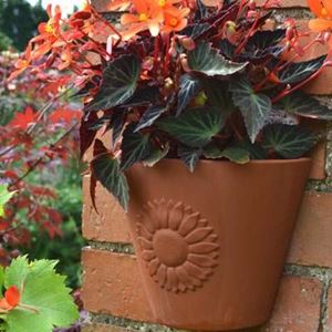 Picture for category Terracotta Wall Planters