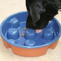 Picture of Dog Bowl - Gobblenot - Blue Glazed