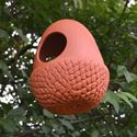 Picture of Acorn Hanging Bird Feeders