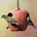 Picture of Terracotta Apple Bird Feeder