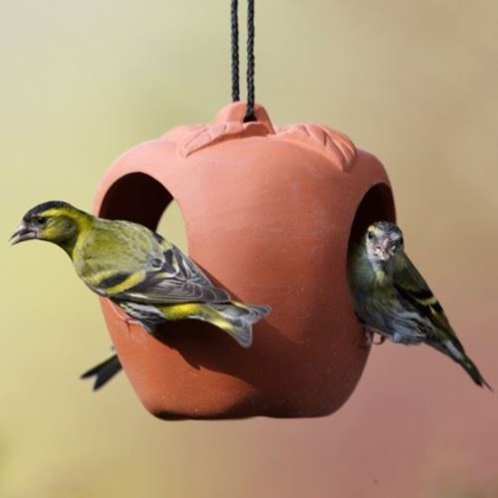 Terracotta Apple Bird Feeder Terracotta Uk Com Hand Made Uk