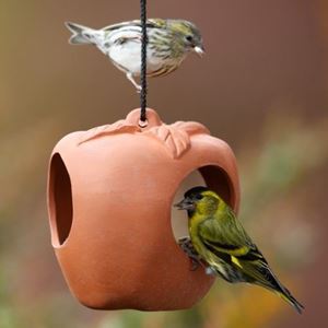 Picture of Terracotta Apple Bird Feeder