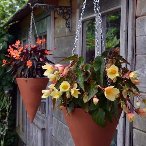 Terracotta Cone Hanging Planters Terracotta.uk.com The 