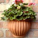 Picture of Malay Wall pots