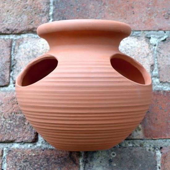 Strawberry Pot Wall Planter | Terracotta.uk.com | Hand 