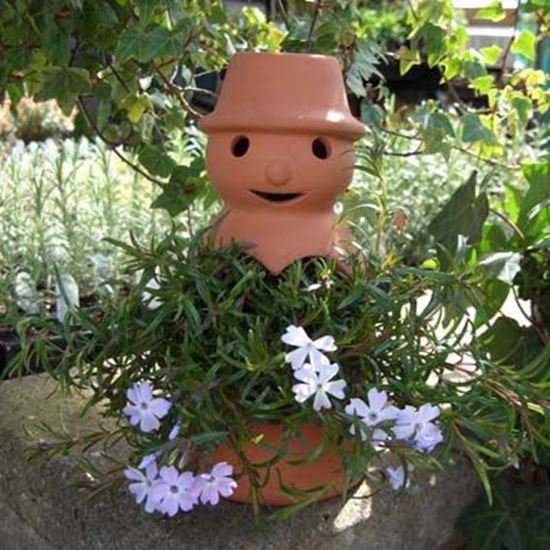 Picture of Flower Pot Man Lantern