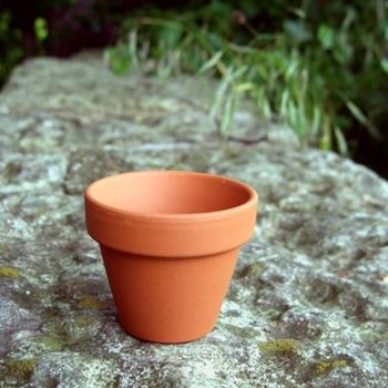 Picture of Traditional FlowerPots | 5.7cm x 5cm - pack of 25 [F6]
