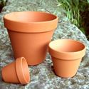Picture of Traditional Flower Pots