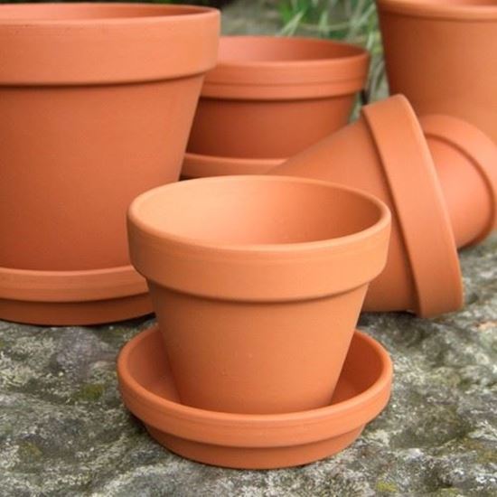Picture of Traditional Flowerpots With Saucers