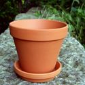 Picture of Traditional Flowerpots With Saucers