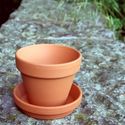 Picture of Traditional Flowerpots With Saucers