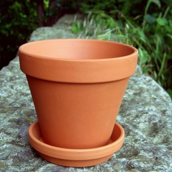 Picture of Traditional Flowerpots with Saucers | 13.2cm x 11.7cm  [F13/S11]
