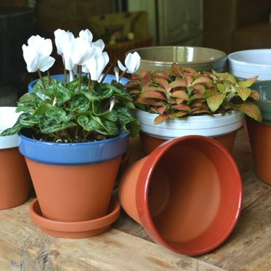 Glazed Coloured Flower Pots Handmade UK Terracotta Production