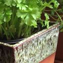 Picture of Glazed & Unglazed Herb Pots