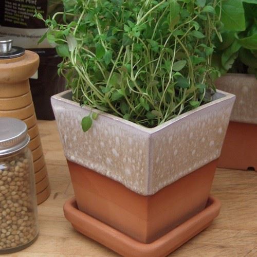 Herb Pots Handmade UK Terracotta Production