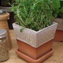 Picture of Glazed & Unglazed Herb Pots