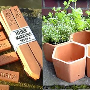 Picture of 7 Hexagonal Herb Pots & 8 Markers