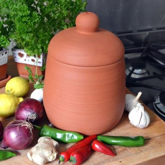 Picture of Tandoori Pot | Oven