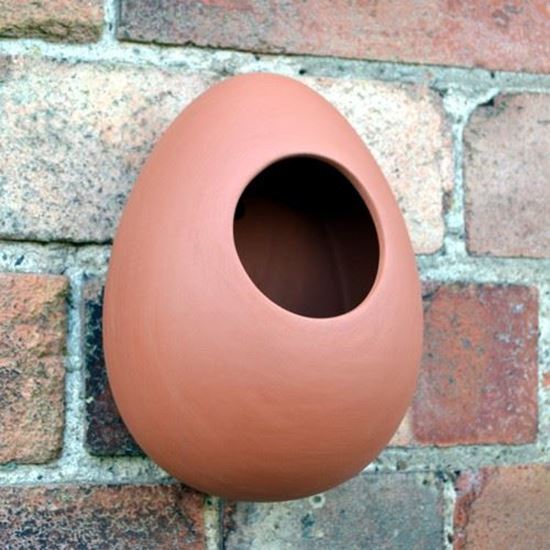 Picture of Wall Mounted Bird Feeder - Egg Design