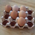 Picture of Terracotta Egg Racks