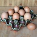 Picture of Terracotta Egg Racks
