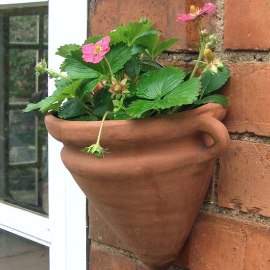 Amphora Wall Pot | Terracotta.uk.com | Hand-made UK Terracotta Production