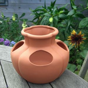 Picture of Strawberry Pot