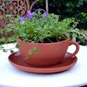 Picture of Teacup & Saucer Planters