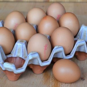 Picture of Pottery Egg Holders - 12 eggs - Mushroom Glaze