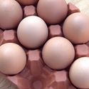 Picture of Natural Terracotta Egg Holder | 12 Eggs