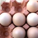 Picture of Natural Terracotta Egg Holder | 12 Eggs