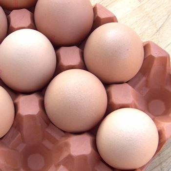 Picture of Natural Terracotta Egg Holder | 12 Eggs