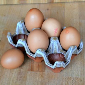 Picture of Egg Rack | 6 Eggs - Mushroom Glaze