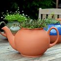 Picture of Teapot Planter - Large