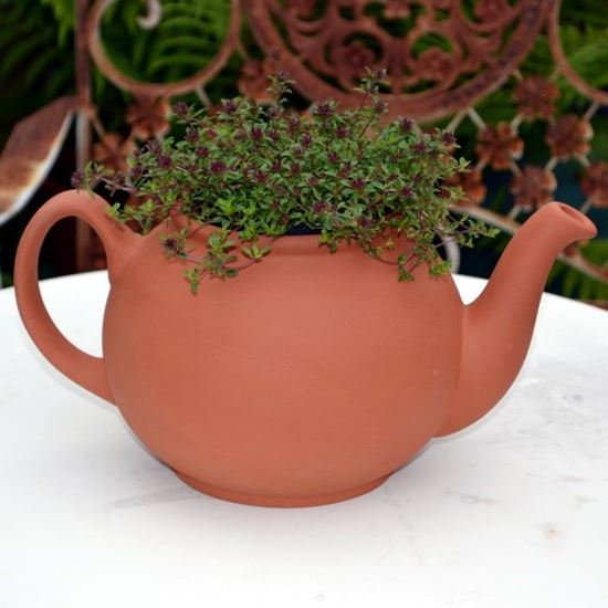 Teapot Planters Handmade UK Terracotta Production