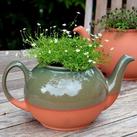 Picture of Teapot Planter with Green Glaze