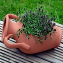 Picture of Amphora Open Sided Planter