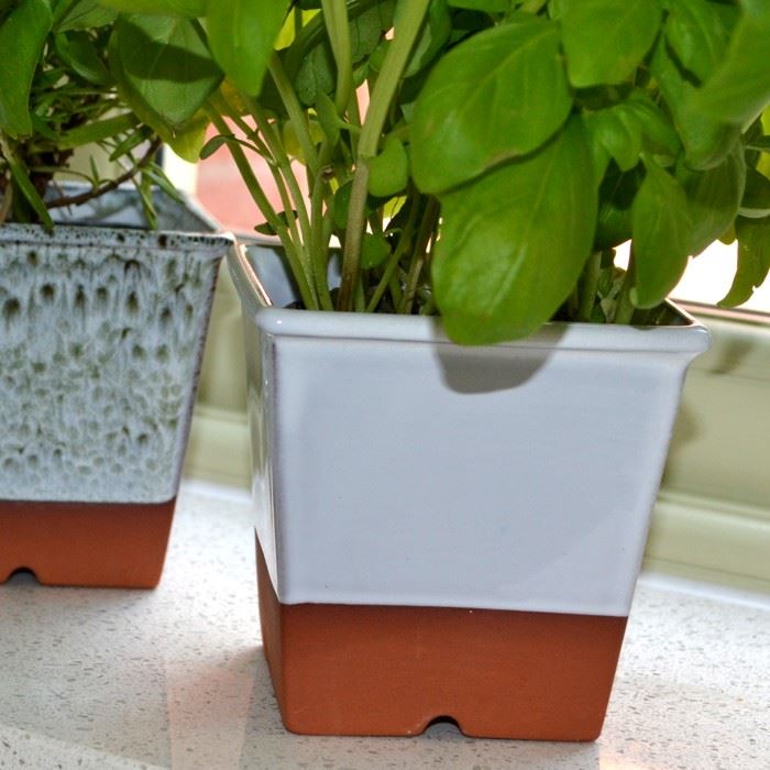 Herb Pot White Glaze Handmade UK Terracotta