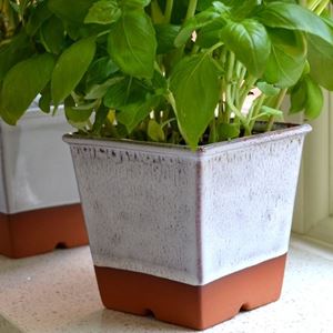 Picture of Herb Pot - Oyster Glaze
