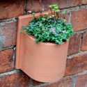 Picture of Herb Wall Pot - Round