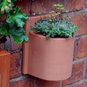 Picture of Herb Wall Pot - Round