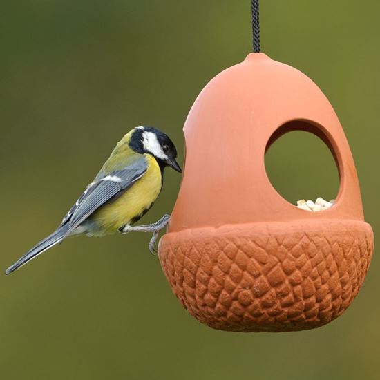 Picture of Acorn Hanging Bird Feeders