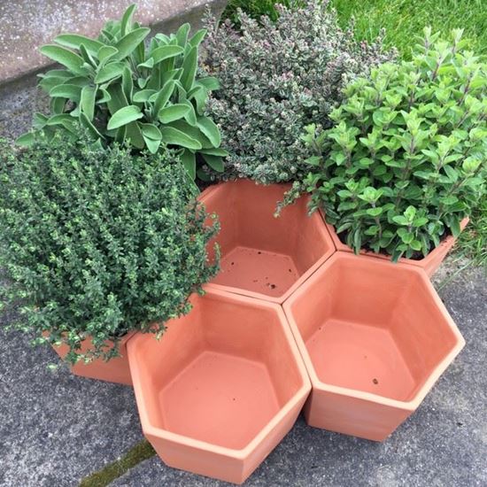 Hexagonal Herb Pots Handmade UK Terracotta