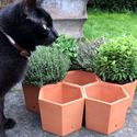 Picture of Hexagonal Herb Pots