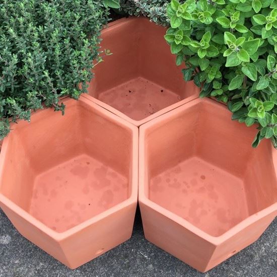 Hexagonal Herb Pots Handmade UK Terracotta