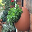 Picture of Egg Wall Pot - Small