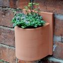 Picture of Herb Wall Pot - Urn