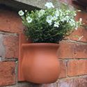 Picture of Herb Wall Pot - Urn