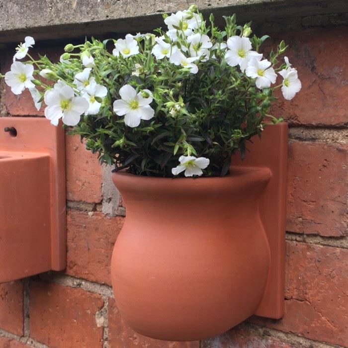 Herb Wall Pot Urn Handmade UK Terracotta