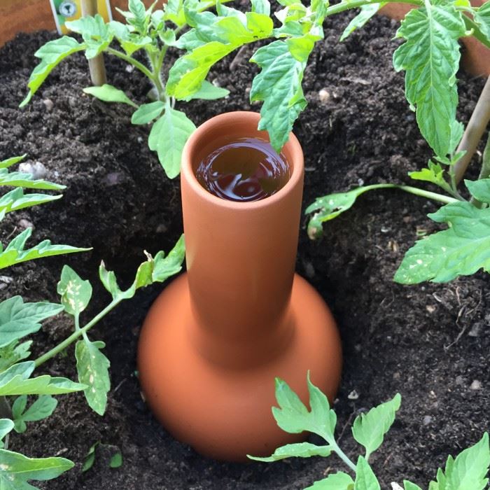 'Olla' Terracotta Irrigation Pot Handmade UK